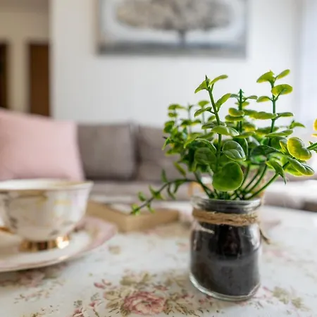 Tajena * 즐라티보